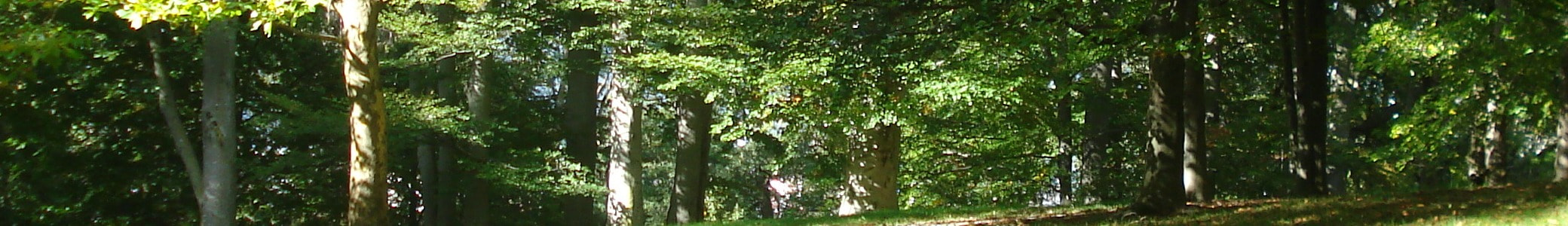 mosquitolakemarina