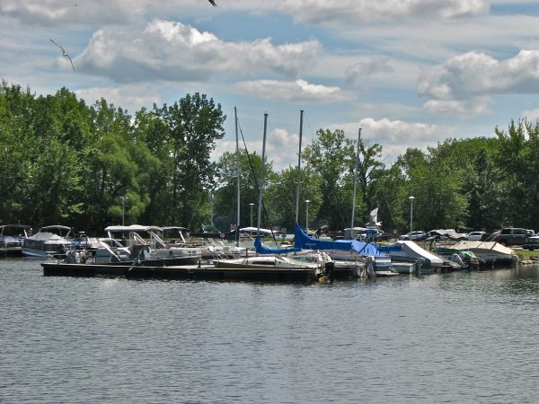 Top 3 Reasons We Should Be on Your Summer Bucket List